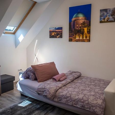 Zsuka Apartman Free Parking Pécs Exterior foto