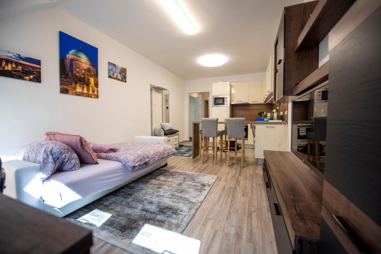 Zsuka Apartman Free Parking Pécs Exterior foto